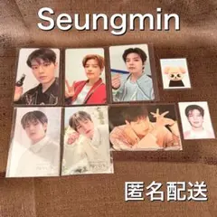 Stray Kids スンミン トレカ ステッカー 8枚セット パピーム スキズ