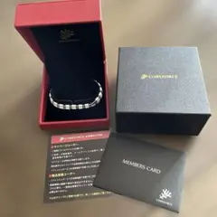 Item thumbnail for item 110cb115-aa52-42fc-9e31-b205957b1afc