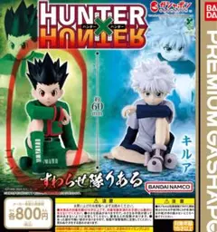 HUNTER×HUNTER ゴン すわらせ隊りある
