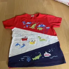 Item thumbnail for item ce5a1d96-e883-4a8b-9e46-71056c80c4ff