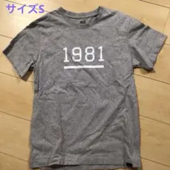 Jack Wolfskin ジャックウルフ　グレー Tシャツ 1981 サイズSのサムネイル
