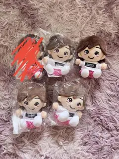 なにわ男子 道枝駿佑 第1弾 あけおめ 2021 ちびぬい 4点セット