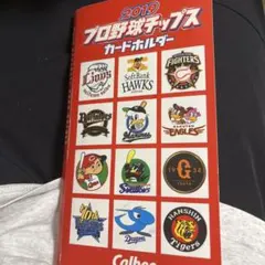 2019 プロ野球チップス カードホルダー