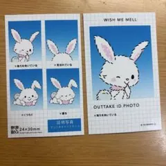 サンリオ 証明写真風スマロイド 証明写真 ウィッシュミーメル