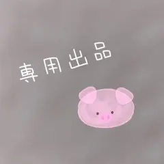 専用出品