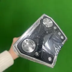 Item thumbnail for item 9ff179be-75cf-4f34-bf0e-758bd11e6f37