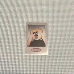 Stray Kids SKZOO チェキ 特典トレカ スンミン