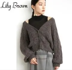 Lily Brown リリーブラウン レイヤードニットトップス