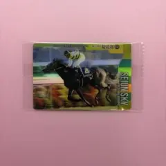 2026年最新】セイウンスカイ 馬券の人気アイテム - メルカリ