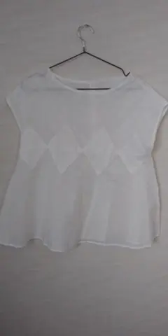 Item thumbnail for item ac92ddde-d254-4f6b-9179-55d71ce0e213