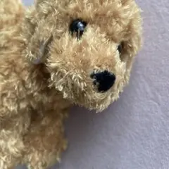 Item thumbnail for item 282fe4b4-596f-4d01-b21d-61e844d95d72