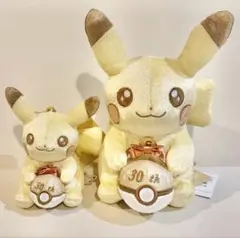 30周年 記念 ぬいぐるみ ピカピカ！ピカチュウ ぬいぐるみ2点セット