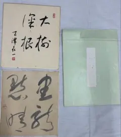 希少】安倍晋三 元内閣総理大臣 揮毫色紙 - メルカリ