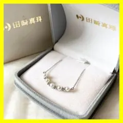 Item thumbnail for item 9d379853-27ae-4fab-8754-bbf445b79713