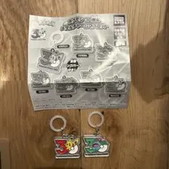 ポケモン30周年 メタルチャームマスコット めじるしアクセサリー
