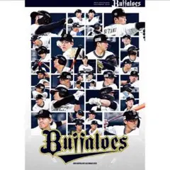 Item thumbnail for item d41bbd2c-cb32-4e02-9184-d22dc154b787