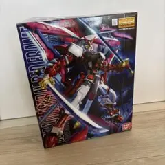 2026年最新】MG 機動戦士ガンダムSEED ASTRAY ガンダムアストレイ