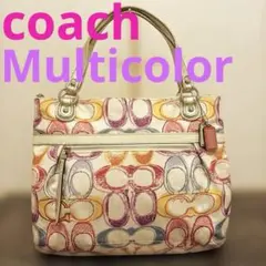 希少 COACH シグネチャー マルチカラー 刺繍 バッグ キャンバス レザー