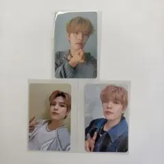 straykids 5-star dome tour 会場限定トレカ 通常トレカ