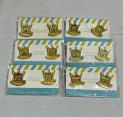 【フルコンプ】嵐　君と僕の見ている風景　会場限定ピンバッジ　6種セット