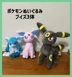 ✧︎*ポケットモンスター ブイズぬいぐるみ3体 エーフィ、グレイシア、ブラッキー✧︎