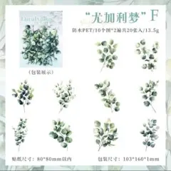 【同梱価格150円】　リーフPETシール　コラージュ素材　F