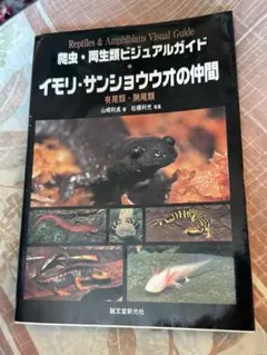 Item thumbnail for item 9aecc6e7-5ed8-4f7e-a5d8-9c7e1a513268