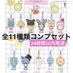JOCHUM めじるしアクセサリー 11体 コンプセット