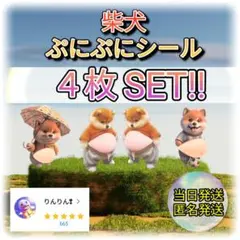 Sa☆様 リクエスト 2点 まとめ商品