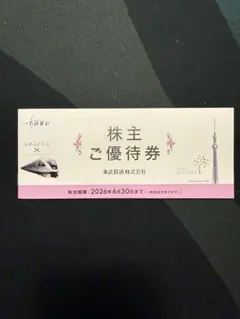 東武鉄道株主優待券　未使用　2026年6月30日まで