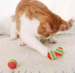 Item thumbnail for item ee3f87e5-2283-4deb-990f-1973e81d502f