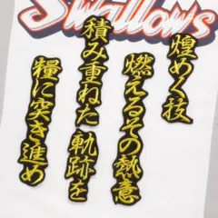 2026年最新】ヤクルトスワローズ ワッペンの人気アイテム - メルカリ