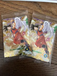 カメレオンX様 リクエスト 2点 まとめ商品