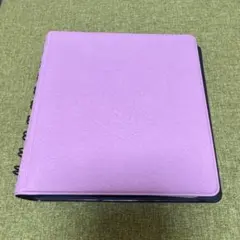 Item thumbnail for item 3afb45e8-d4b4-4997-a1fd-63174f1e1c89