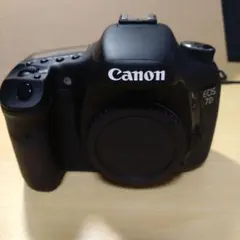 Item thumbnail for item 235ac59b-d2ef-432d-83f7-c0b298aceba3