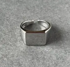 シルバーリング925 14号