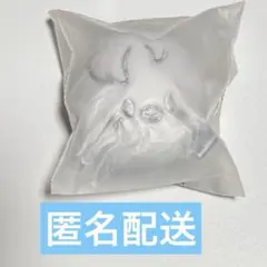 StrayKidsスキズskzoo フェイスキーリング ポガリ