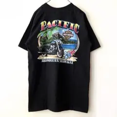 00s Harley Davidson Motorcycles T-shirt