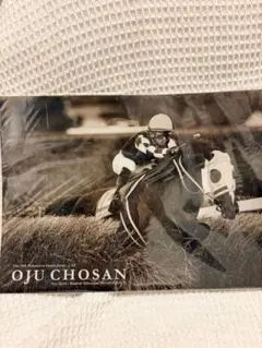 Item thumbnail for item 654049cb-c375-48f5-97ac-bcb736a7a1fc