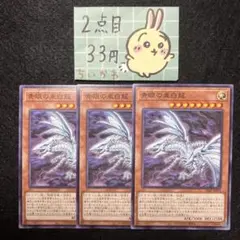 遊戯王 青眼の亜白龍 ×3 ノーマル