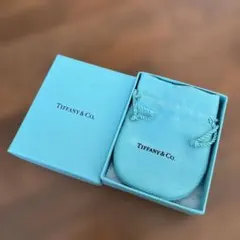Tiffany & Co. ジュエリー収納袋 水色