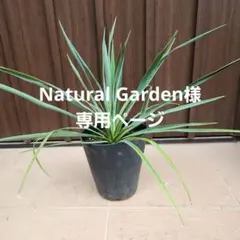Natural Garden様 リクエスト 3点 まとめ商品