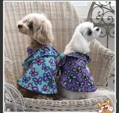 ANNA SUI 犬服 蝶々柄 フリル付き　L 水着のサムネイル
