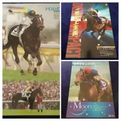 Item thumbnail for item d1ca2e8c-ffb8-4a0d-af63-c80371271ac0