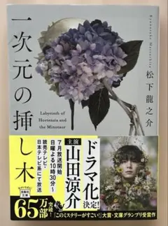 一次元の挿し木