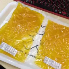 りーたん様専用このままお待ちくださいませ(^o^)
