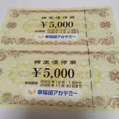 匿名配送 早稲田アカデミー 株主優待 10000円分