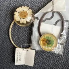 Item thumbnail for item 5b4f3a81-bcf4-44d2-9d20-cba3beed4358