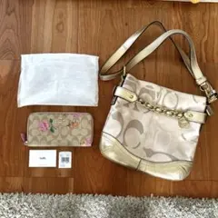 Item thumbnail for item ea95bf6f-9ba1-4ccc-a28c-acb30454dc46