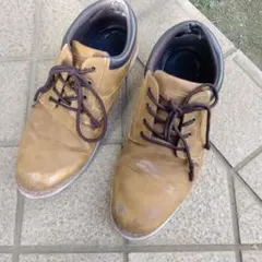 Item thumbnail for item f7ac0f10-6fb3-49c3-9653-0afdca8e97be